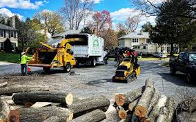 Best Leaf Removal  in Hutchison, VA