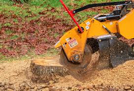 Best Tree and Shrub Care  in Hutchison, VA